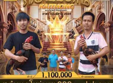 ศ.อำนาจโซล่าเซล999   🆚  ป.ปาภูงา