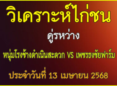 วิเคราะห์ไก่ชน คู่ระหว่าง หนุ่มโรงช้างดำเนินสะดวก VS เพชรธงชัยฟาร์ม ประจำวันที่ 13 เมษายน 2568