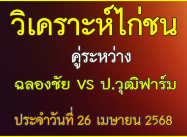 วิเคราะห์ไก่ชน คู่ระหว่าง ฉลองชัย VS ป.วุฒิฟาร์ม ประจำวันที่ 26 เมษายน 2568