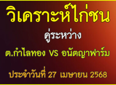 วิเคราะห์ไก่ชน คู่ระหว่าง ต.กำไลทอง VS อนันตญาฟาร์ม ประจำวันที่ 27 เมษายน 2568