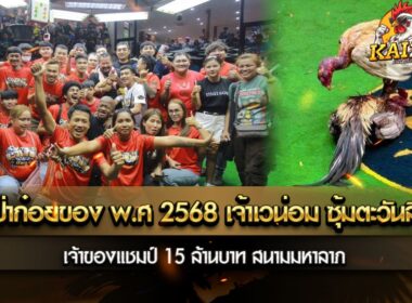 ยอดป่าก๋อยของ พ.ศ 2568 เจ้าเวน่อม ซุ้มตะวันสีทอง