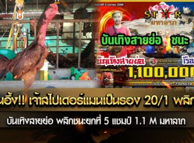 เซียนอึ้ง!! เจ้าสไปเดอร์แมนเป็นรอง 20/1 พลิกชนะ