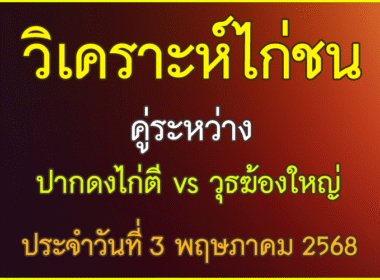 วิเคราะห์ไก่ชน คู่ระหว่าง  ปากดงไก่ตี พบกันกับ วุธฆ้องใหญ่ + ทุ่งหนองใหญ่   ประจำวันที่ วันเสาร์ที่ 3 พฤษภาคม 2568