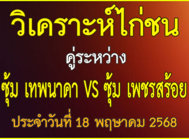 วิเคราะห์ไก่ชน คู่ระหว่าง ซุ้ม เทพนาคา VS ซุ้ม เพชรสร้อยฟ้า ประจำวันที่ 18 พฤษาคม 2568