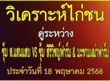วิเคราะห์ไก่ชน คู่ระหว่าง ซุ้ม ส.แสนแสบ VS ซุ้ม ศิริวิชญ์ฟาร์ม & มะขามเฒ่าฟาร์ม ประจำวันที่ 18 พฤษาคม 2568