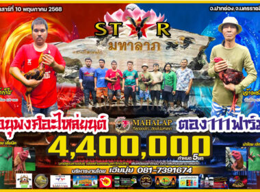 อนุพงศ์อะไหล่ยนต์   🆚  ตอง 111 ฟาร์ม