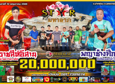 ราชสีห์อีสานฟาร์ม   🆚 พญาช้างศึก