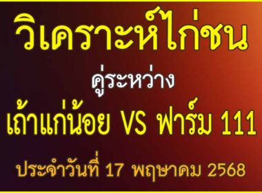 วิเคราะห์ไก่ชน คู่ระหว่าง เถ้าแก่น้อย VS ฟาร์ม 111 ประจำวันที่ 17 พฤษาคม 2568