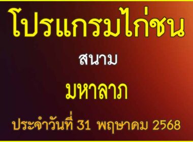 ณ สนามไก่ชน มหาลาภ ประจำวันที่ 31 พฤษาคม 2568