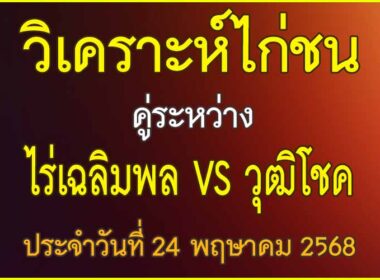 วิเคราะห์ไก่ชน คู่ระหว่าง ไร่เฉลิมพล VS วุฒิโชค ประจำวันที่ 24 พฤษาคม 2568