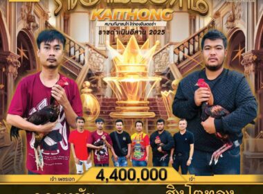 ฉลองชัย 🆚 สิงโตทอง สังกัด อินทรีย์อีสาน