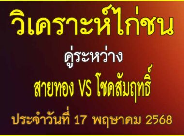 วิเคราะห์ไก่ชน คู่ระหว่าง สายทอง VS โชคสัมฤทธิ์ ประจำวันที่ 17 พฤษาคม 2568
