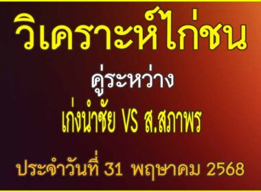 วิเคราะห์ไก่ชน คู่ระหว่าง เก่งนำชัย VS ส.สภาพร ประจำวันที่ 31 พฤษาคม 2568