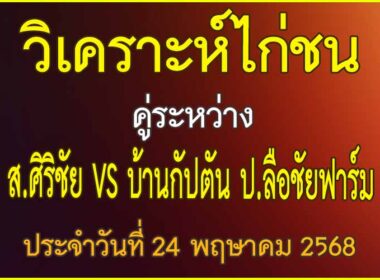 วิเคราะห์ไก่ชน คู่ระหว่าง ส.ศิริชัย VS บ้านกัปตัน ป.ลือชัยฟาร์ม ประจำวันที่ 24 พฤษาคม 2568