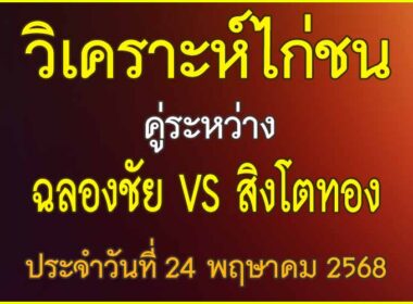 วิเคราะห์ไก่ชน คู่ระหว่าง ฉลองชัย VS สิงโตทอง ประจำวันที่ 24 พฤษาคม 2568