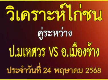 วิเคราะห์ไก่ชน คู่ระหว่าง ป.มเหศวร VS อ.เมืองช้าง ประจำวันที่ 24 พฤษาคม 2568