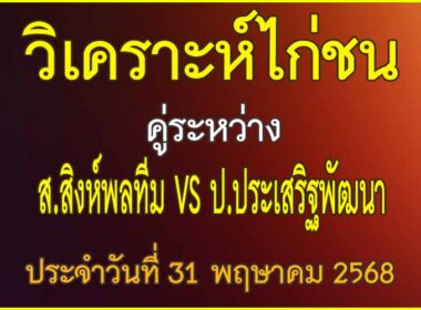 วิเคราะห์ไก่ชน คู่ระหว่าง ส.สิงห์พลทีม VS ป.ประเสริฐพัฒนา ประจำวันที่ 31 พฤษาคม 2568