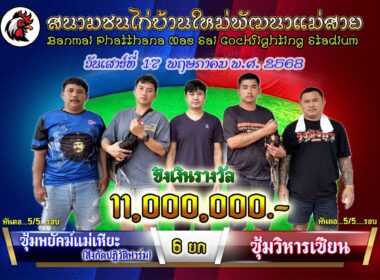 พยัคฆ์แม่เหียะ 🆚  วิหารเซียน