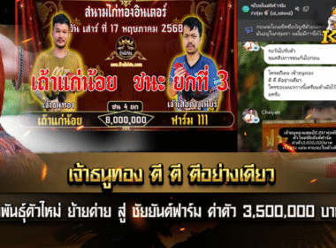 เจ้าธนูทองแชมป์ 8.8M พ่อพันธุ์ ตัวใหม่ ชัยยันต์ฟาร์ม ค่าตัว 3,500,000 บาท เร็ว แรง แม่น ครบจบในตัวเดียว