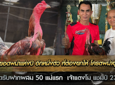 สุดยอดพม่าแห่งปี อีกหนึ่งตัว ที่ต้องยกให้ โครตพม่ายุคใหม่ เจ้าแตงโม ราชาพม่าแชมป์ 23 ล้านบาท