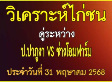วิเคราะห์ไก่ชน คู่ระหว่าง ป.ปาภูงา VS ช่างโอมฟาร์ม ประจำวันที่ 31 พฤษาคม 2568