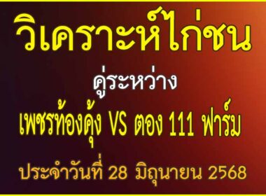 วิเคราะห์ไก่ชน คู่ระหว่าง เพชรทองคุ้ง VS ตอง 111 ฟาร์ม ประจำวันที่ 28 มิถุนายน 2568