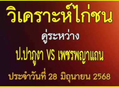 วิเคราะห์ไก่ชน คู่ระหว่าง ป.ปาภูงา VS เพชรพญาแถน ประจำวันที่ 28 มิถุนายน 2568
