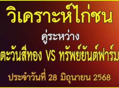 วิเคราะห์ไก่ชน คู่ระหว่าง ตะวันสีทอง VS ทรัพย์สุริยันต์ฟาร์ม ประจำวันที่ 28 มิถุนายน 2568