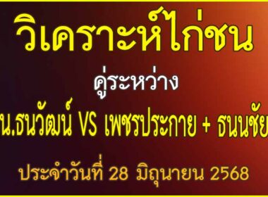 วิเคราะห์ไก่ชน คู่ระหว่าง น.ธนวัฒน์ VS เพชรประกาย + ธนนชัย ประจำวันที่ 28 มิถุนายน 2568