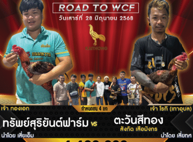 ทรัพย์สุริยันต์ฟาร์ม    🆚  ตะวันสีทอง