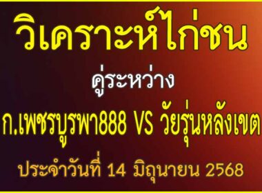 วิเคราะห์ไก่ชน คู่ระหว่าง ก.เพชรบูรพา888 VS วัยรุ่นหลังเขต ประจำวันที่ 14 มิถุนายน 2568