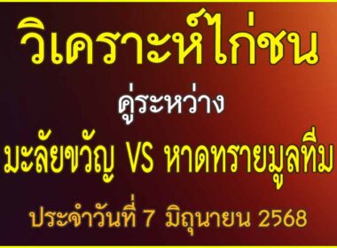 วิเคราะห์ไก่ชน คู่ระหว่าง มะลัยขวัญ VS หาดทรายมูลทีม ประจำวันที่ 7 มิถุนายน 2568