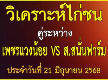 วิเคราะห์ไก่ชน คู่ระหว่าง เพชรแวงน้อย VS ส.สนั่นฟาร์ม ประจำวันที่ 21 มิถุนายน 2568