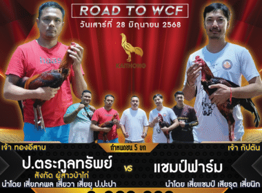 ป.ตระกูลทรัพย์    🆚  แชมป์ฟาร์ม