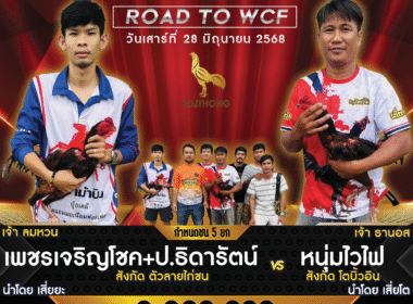 เพชรเจริญโชค+ป.ธิดารัตน์    🆚   หนุ่มไวไฟ สังกัด โตตบิ้วอิน