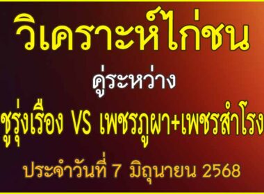 วิเคราะห์ไก่ชน คู่ระหว่าง ชูรุ่งเรือง VS เพชรภูผา+เพชรสำโรง ประจำวันที่ 7 มิถุนายน 2568