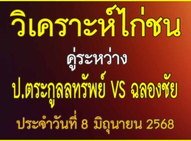 วิเคราะห์ไก่ชน คู่ระหว่าง ป.ตระกูลทรัพย์ VS ฉลองชัย ประจำวันที่ 8 มิถุนายน 2568
