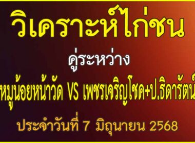 วิเคราะห์ไก่ชน คู่ระหว่าง หมูน้อยหน้าวัด VS เพชรเจริญโชค+ป.ธิดารัตน์ ประจำวันที่ 7 มิถุนายน 2568