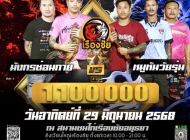มังกรซ่อนกาย    🆚  หมูหันวัยรุ่น
