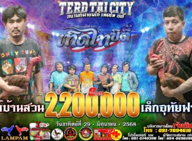 สิงห์บ้านสวน    🆚 เล็กอุทัยฟาร์ม