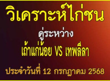 วิเคราะห์ไก่ชน คู่ระหว่าง เถ้าแก่น้อย VS เทพลีลา ประจำวันที่ 12 กรกฎาคม 2568
