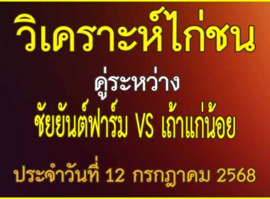 วิเคราะห์ไก่ชน คู่ระหว่าง ชัยยันต์ฟาร์ม VS เถ้าแก่น้อย ประจำวันที่ 12 กรกฎาคม 2568