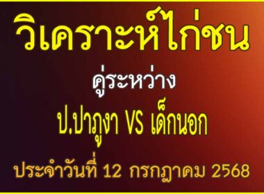 วิเคราะห์ไก่ชน คู่ระหว่าง ป.ปาภูงา vs เด็กนอก ประจำวันที่ 12 กรกฎาคม 2568
