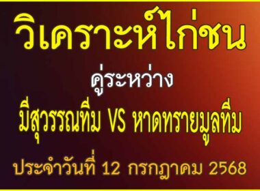 วิเคราะห์ไก่ชน คู่ระหว่าง มีสุวรรณทีม VS หาดทรายมูลทีม ประจำวันที่ 12 กรกฎาคม 2568