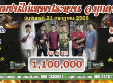 หนุ่มนาติ้ว 🆚  สิงโตทอง