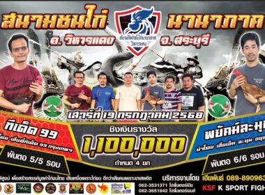 ทีเด็ด99   🆚   พยัคฆ์ละมุน
