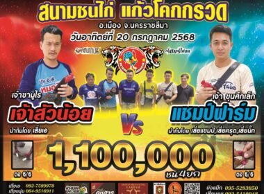 เจ้าสัวน้อย     🆚  แชมป์ฟาร์ม