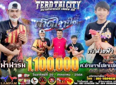 สายฟ้าฟาร์ม    🆚   ศ.อำนาจโซล่าเซลล์999
