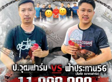 ป.วุฒิฟาร์ม 🆚  ฟ้าประทาน56 สังกัด  ธนากรฟาร์ม