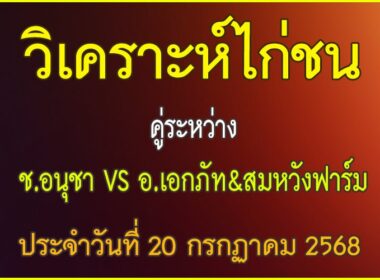 วิเคราะห์ไก่ชน คู่ระหว่าง ช.อนุชา VS อ.เอกภัท&สมหวังฟาร์ม ประจำวันที่ 20 กรกฎาคม 2568